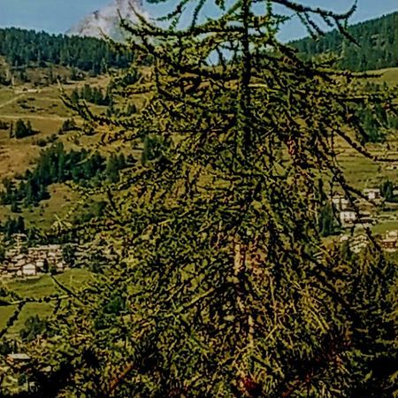 Vila Chez Tonton Wi-Fi Aosta Exteriér fotografie