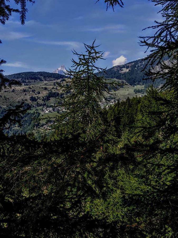 Vila Chez Tonton Wi-Fi Aosta Exteriér fotografie