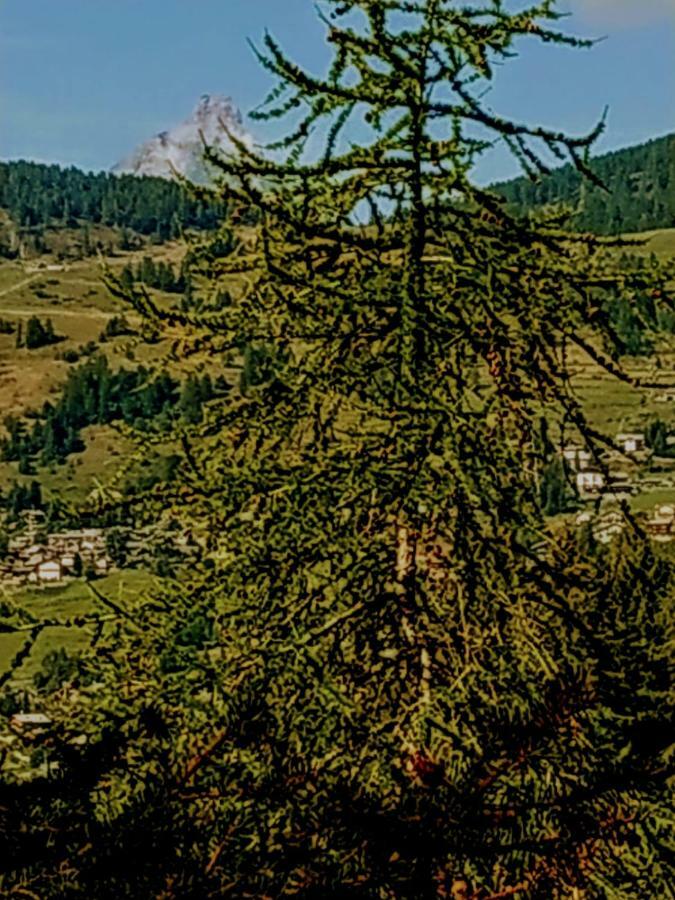 Vila Chez Tonton Wi-Fi Aosta Exteriér fotografie
