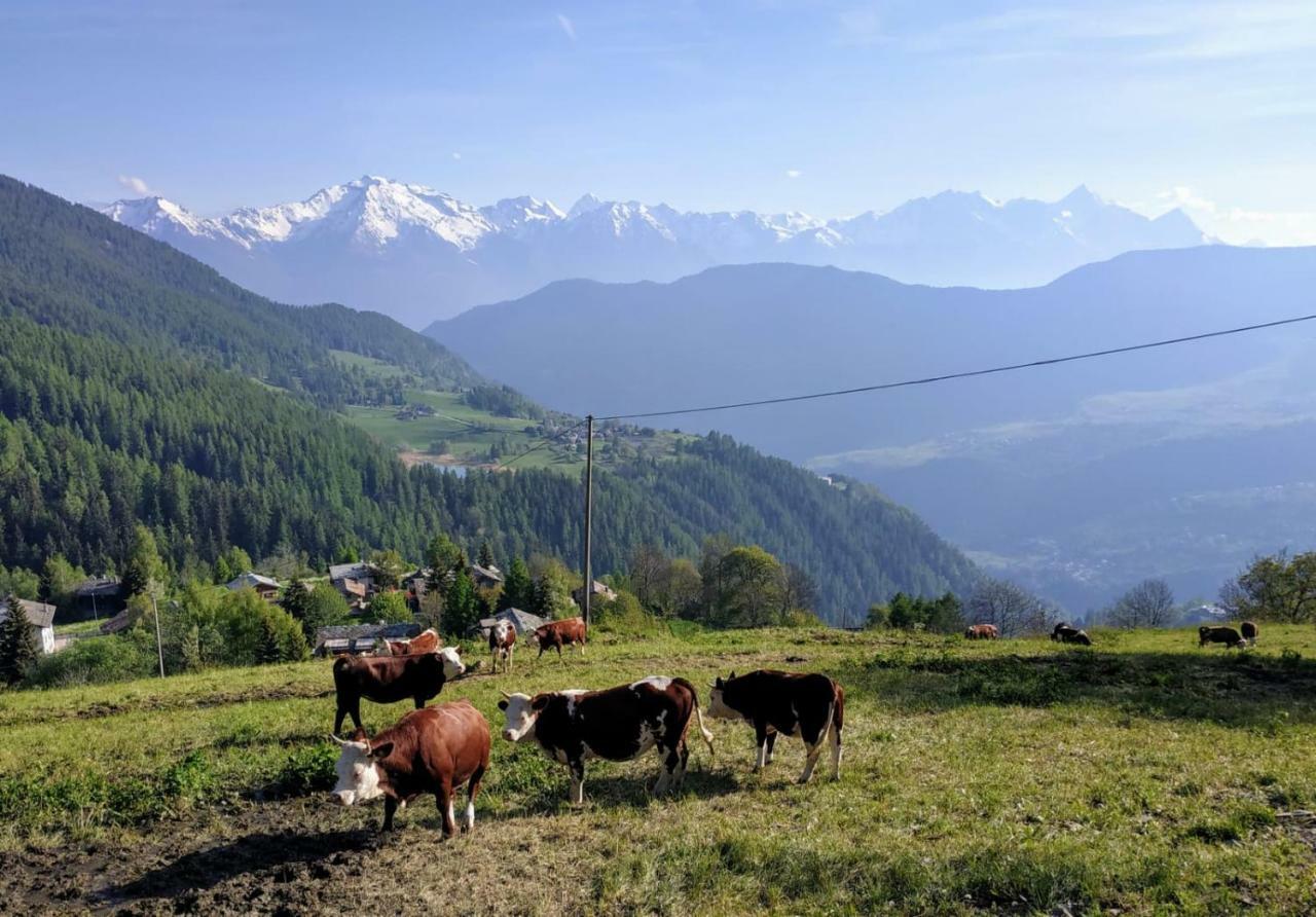 Vila Chez Tonton Wi-Fi Aosta Exteriér fotografie